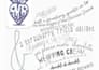rewrite, edit, and create clear professional writing
